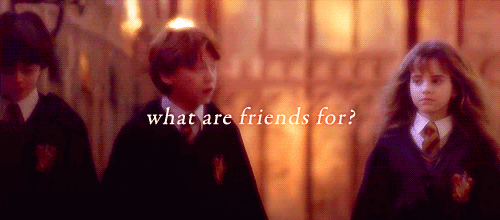 Romione-romione-34381154-500-220.gif