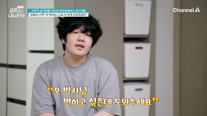 금쪽 이미지