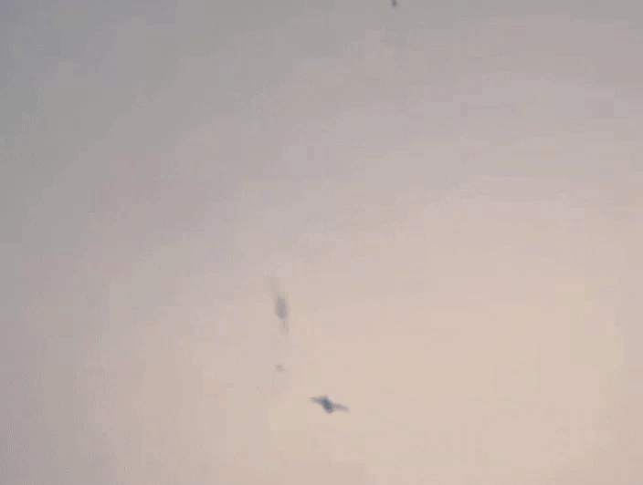 영상은 파키스탄의 한 결혼식에서 신랑 측 아버지가 전세기를 띄워 돈을 뿌리는 장면. /영상=현지 매체 캡처