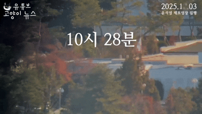 (고양이 뉴스 유튜브 갈무리)