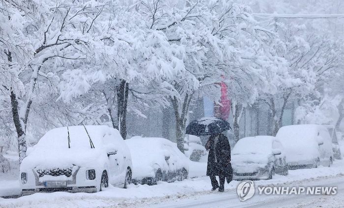 대설 이미지