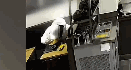 한 손님이 머리카락을 뽑더니 음식에 넣는 모습. 〈영상=JTBC '사건반장'〉