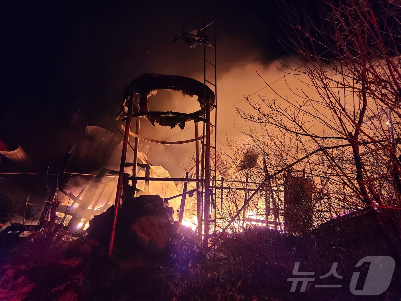 홍천양계 이미지