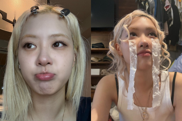 로제 이미지