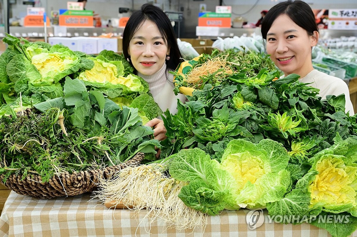 달래유통 이미지