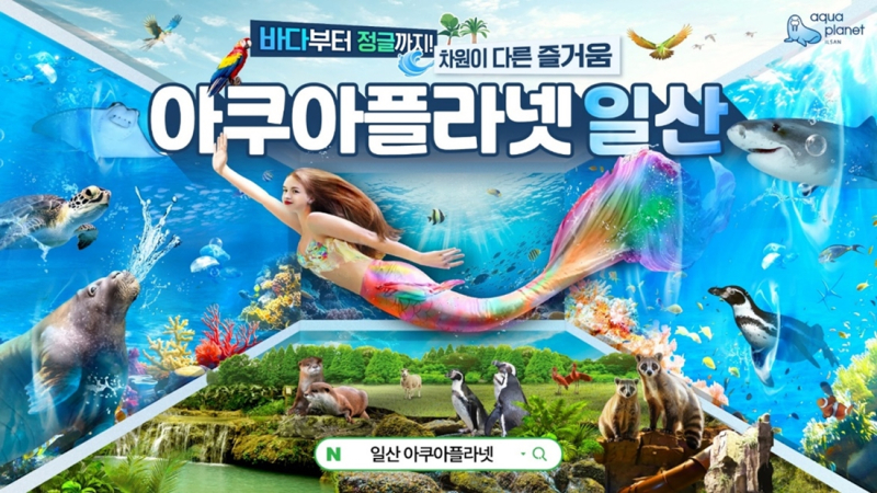 아쿠아 이미지