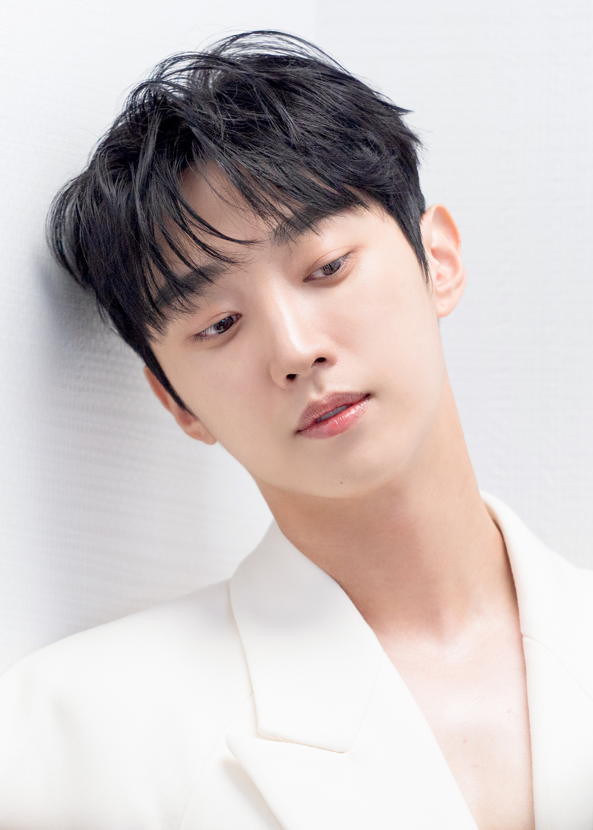 진영 이미지