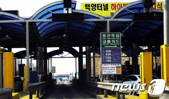 백양 이미지