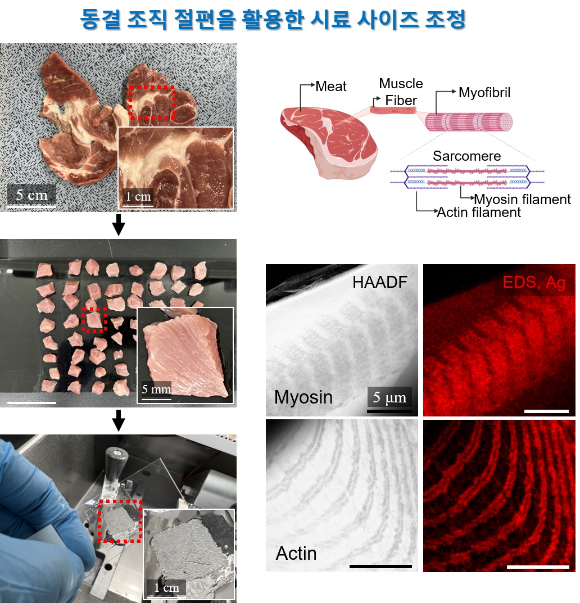 캠바이오 이미지