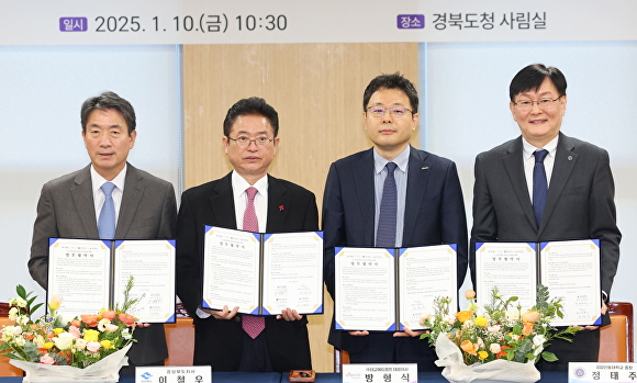 보듬 이미지