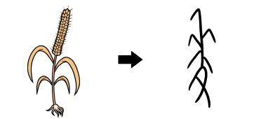 국수가 이미지