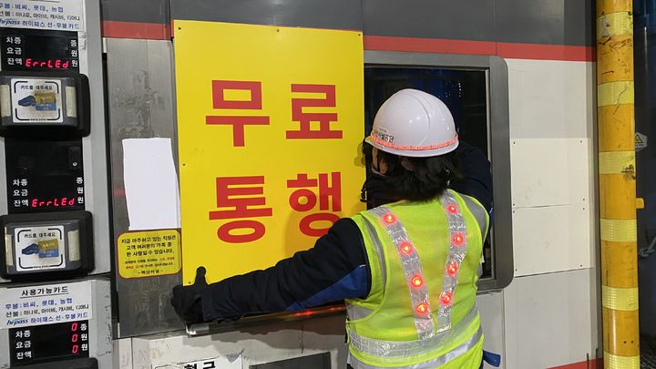 백양 이미지