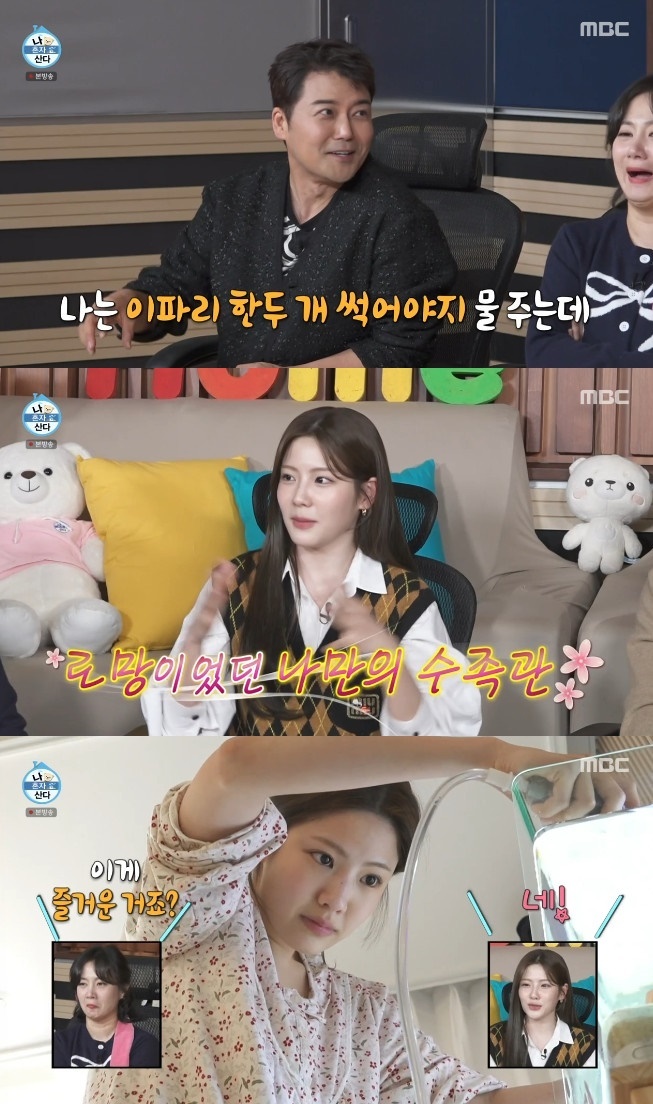 이파리 이미지