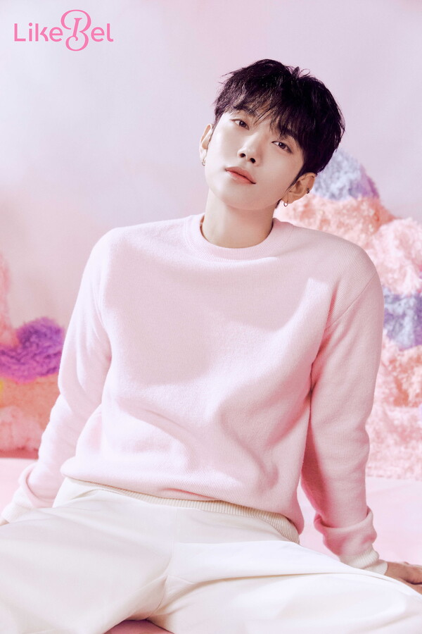 수라이크 이미지