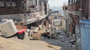 한남동 재개발구역의 황량한 모습. 방치된 동물들을 만날 수 있다. 봉사자 김유진씨 제공