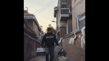 동물단체 학사모가 한남 재개발지구에서 구조한 고양이들. 유기묘 테마파크 제주 캣월드에서 안전하게 보호 중이다. 학사모 제공