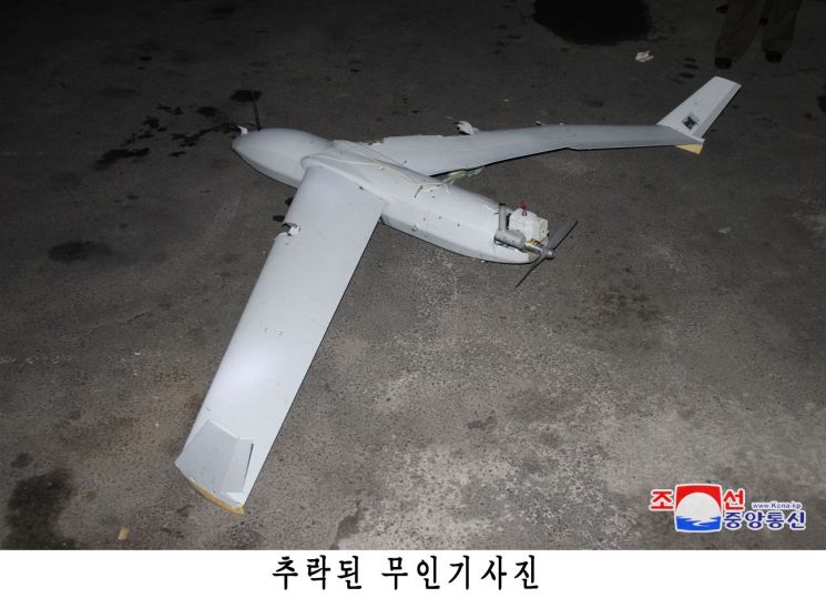 적 이미지
