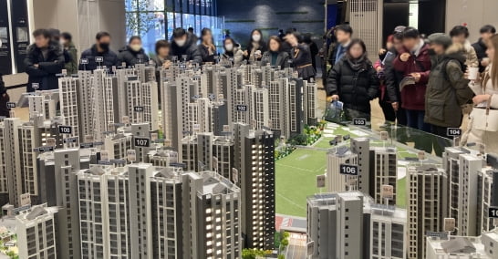 라비 이미지
