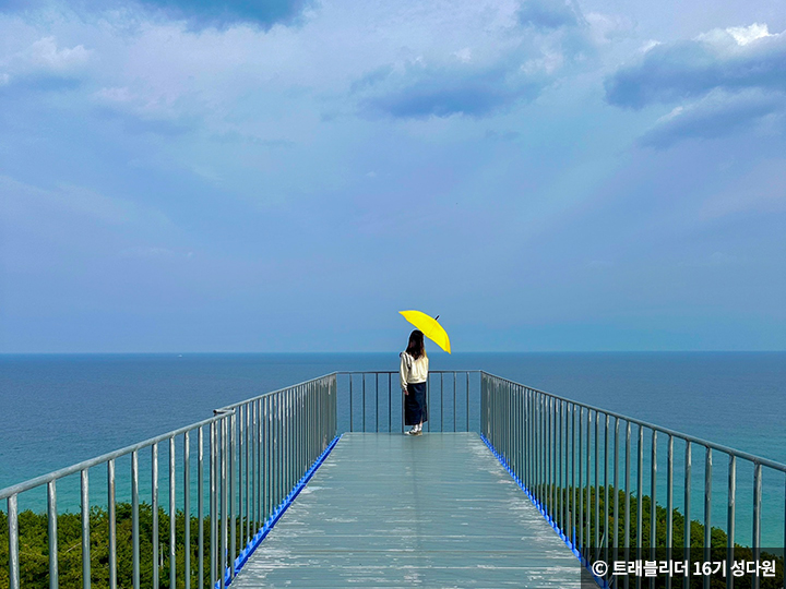 하슬라 이미지