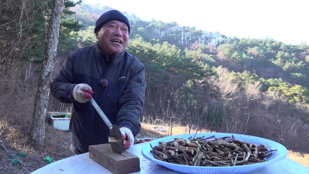 지상낙원 이미지