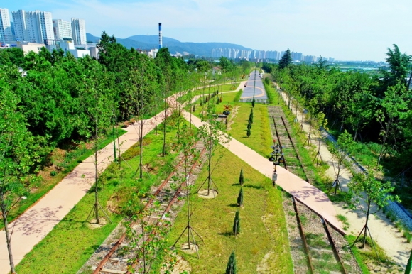 숲 이미지