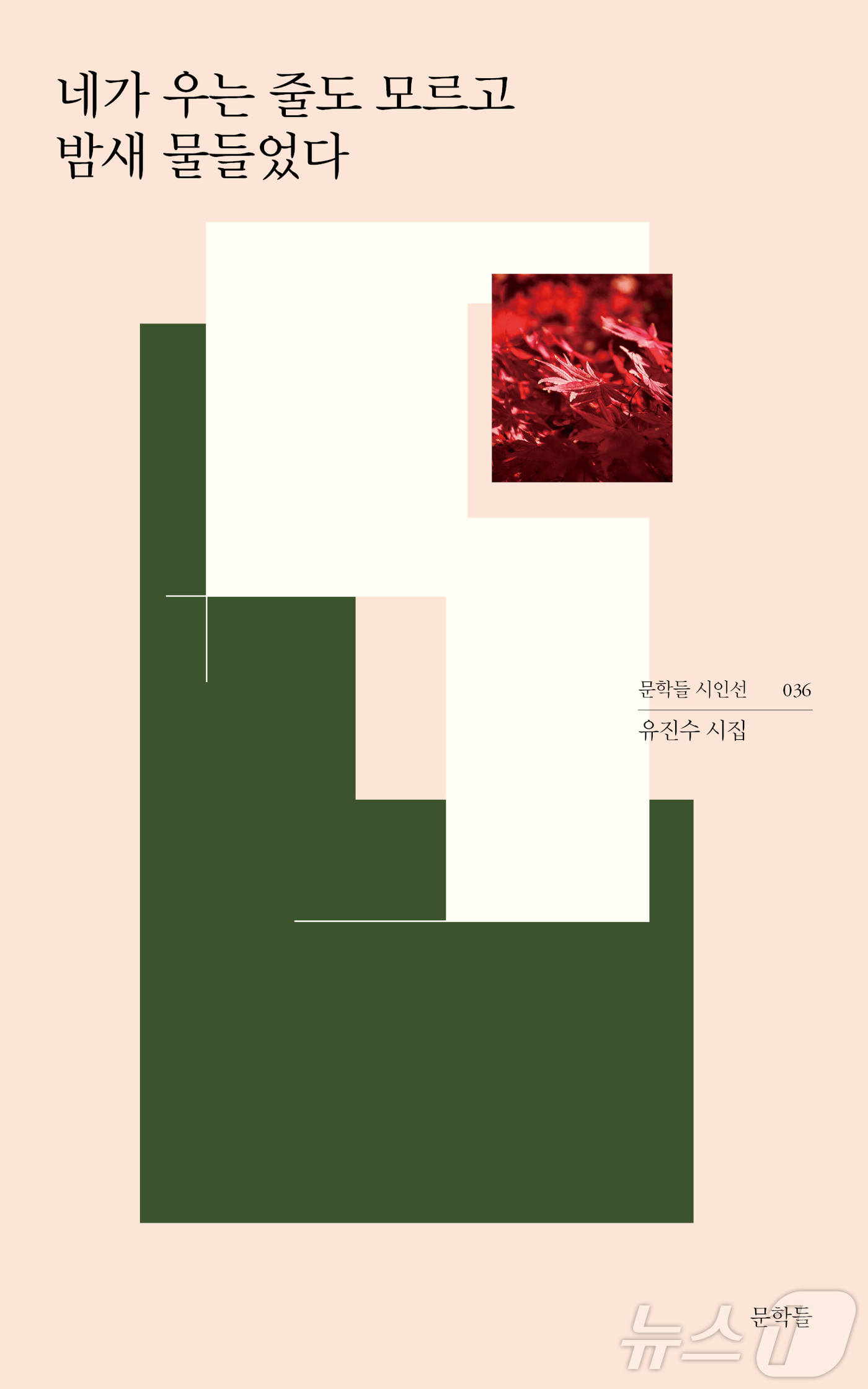 밤새 이미지
