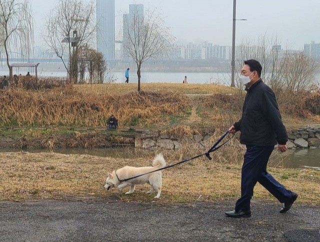 토리샌드위치 이미지