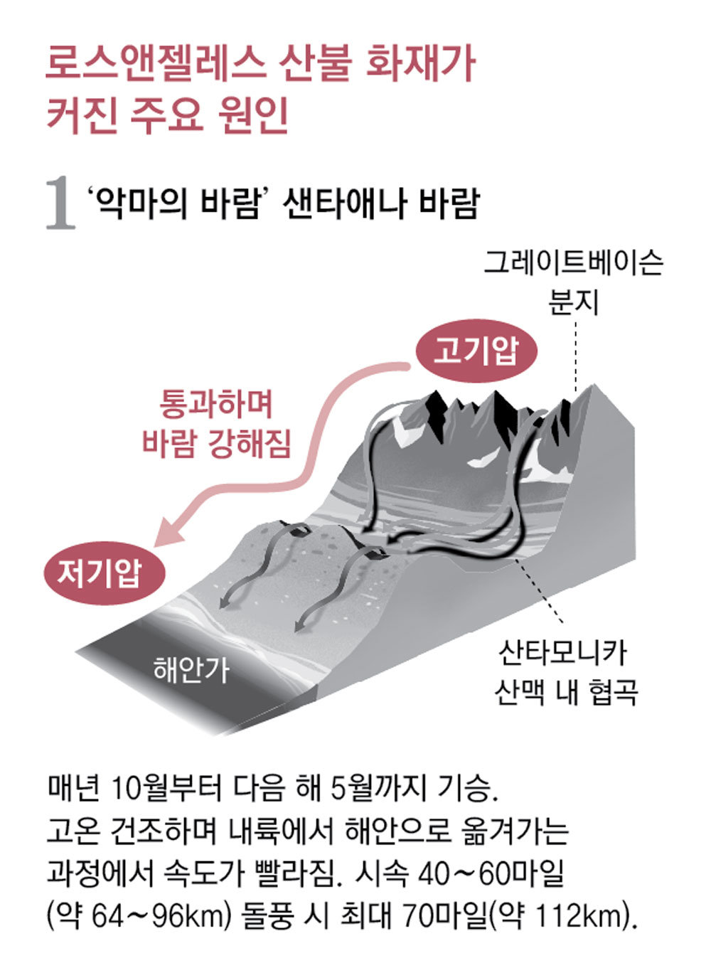 초목 이미지