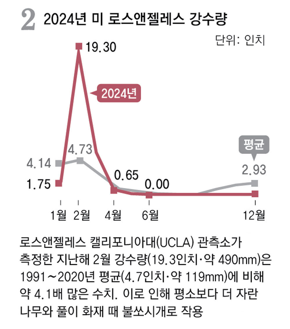 초목 이미지