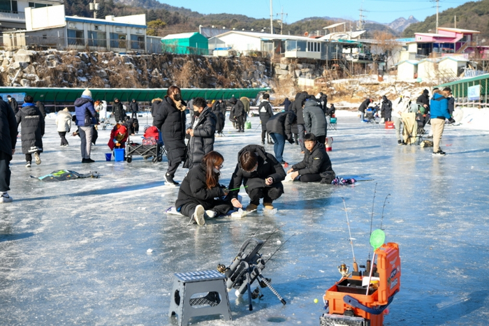 팔딱팔딱 이미지