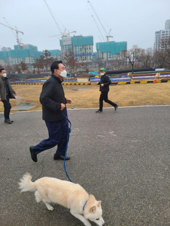 토리샌드위치 이미지
