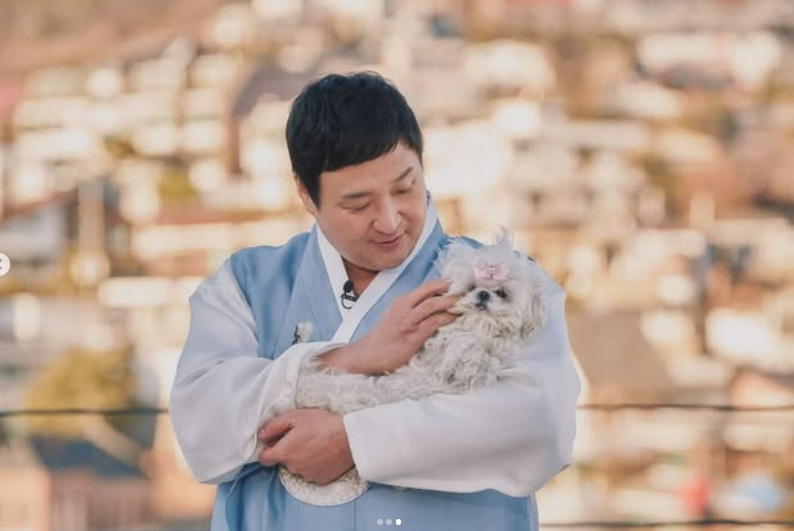 스타견 이미지