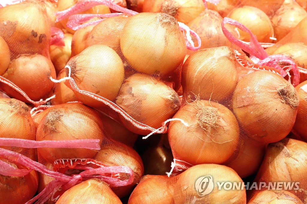 양파 이미지