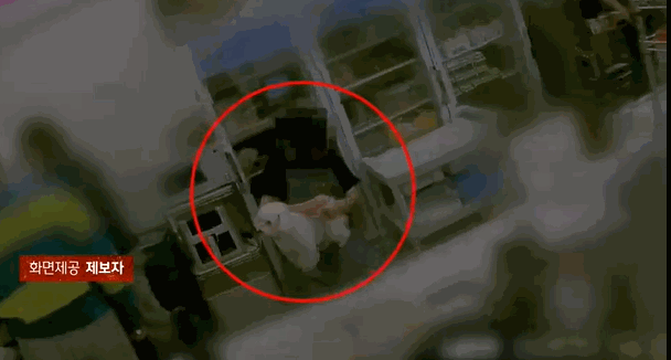 강아지 엉덩이를 닦던 손으로 음식 용기를 만지는 직원의 모습. 〈영상=JTBC '사건반장'〉