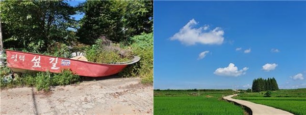 옹달샘 이미지