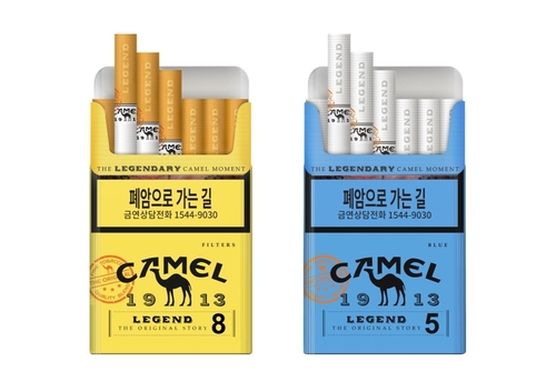 카멜디자인 이미지