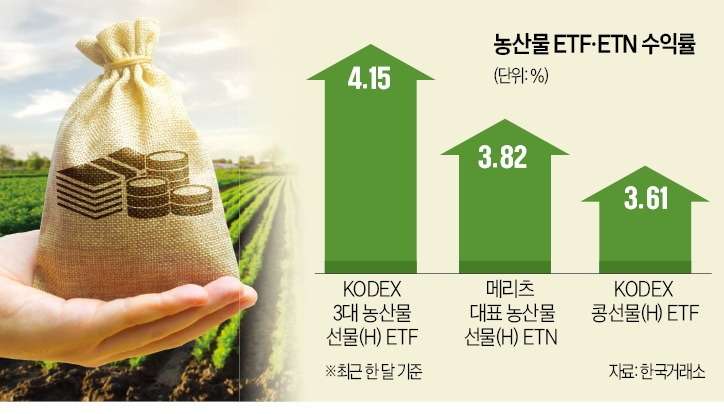 곡창지대 이미지