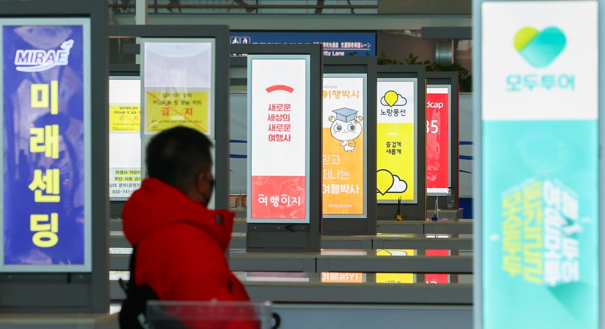 대한국제여행사 이미지
