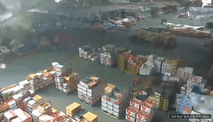 지난해 11월 28일 발생한 안양 농수산물도매시장 붕괴사고 상황을 담은 CCTV 영상. 안양시 제공