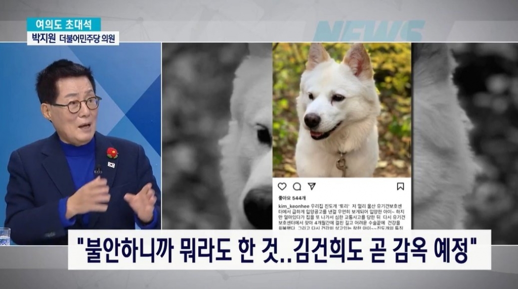 토리 이미지