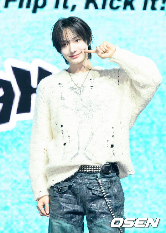 동화케이스 이미지