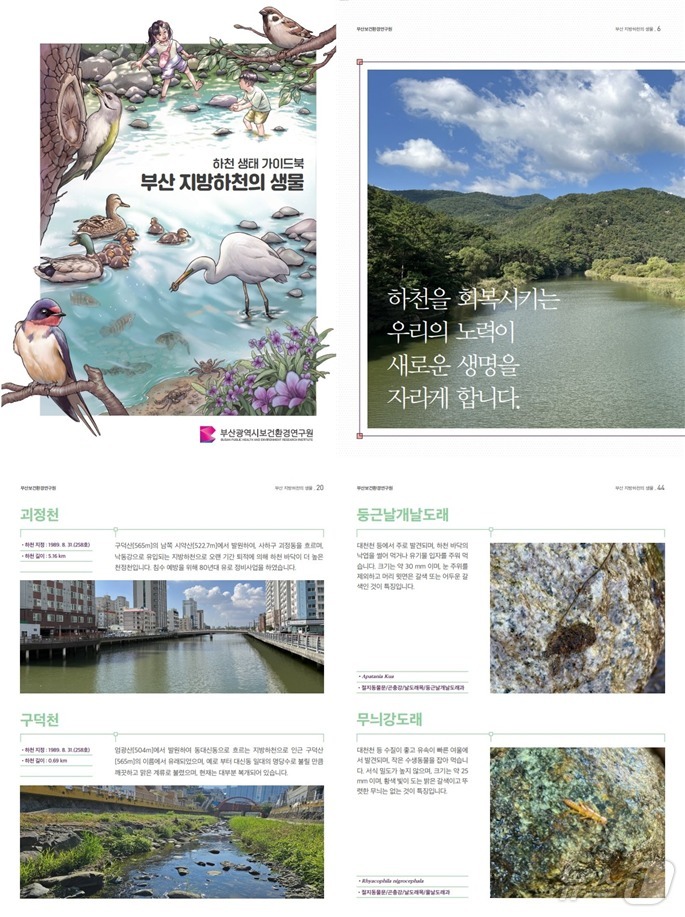 부산광역시보건환경연구원 이미지