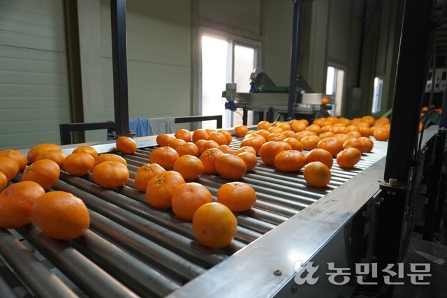 농축산물직거래센타 이미지