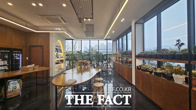 플라워&카페 사진 2