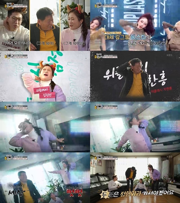 금송아지 이미지