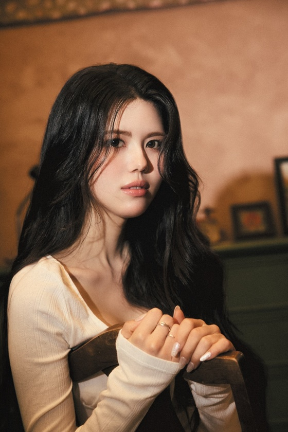 올리비아투어 이미지
