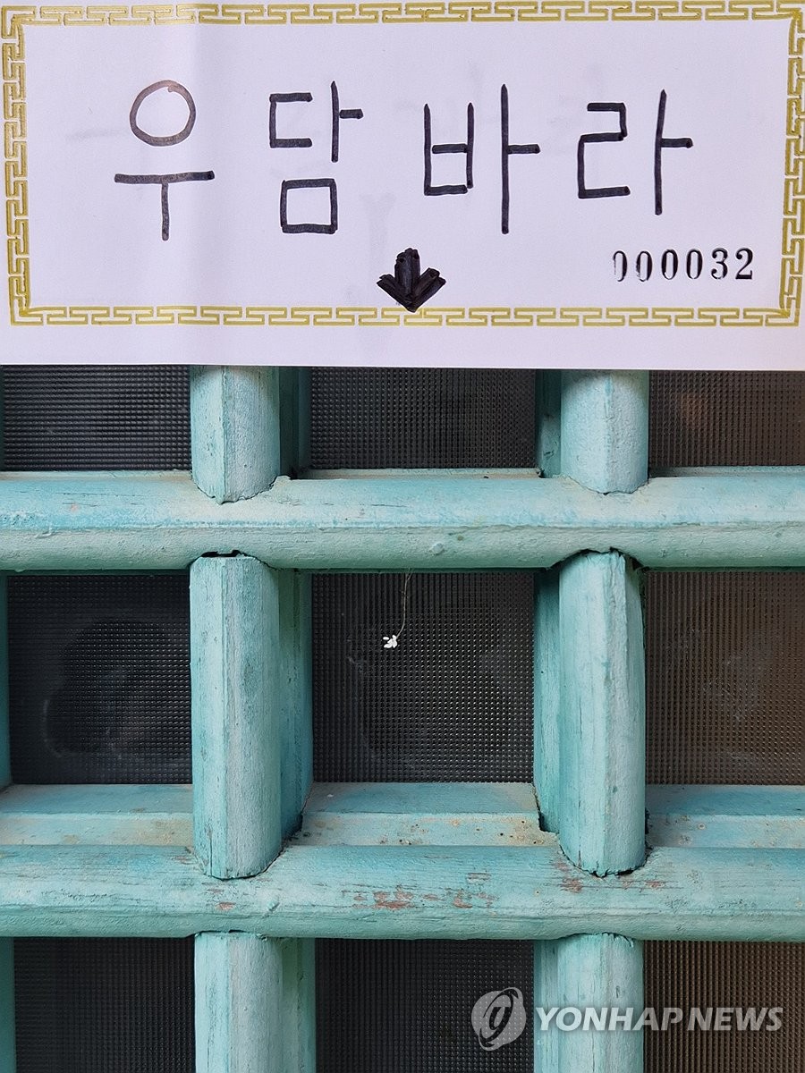 우담바라 이미지
