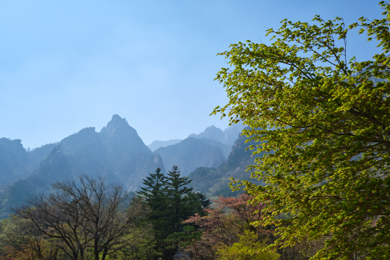 지리산 두지봉~천왕봉 등 국립공원 탐방로 120여개...2월 15일부터 산불 예방 통제