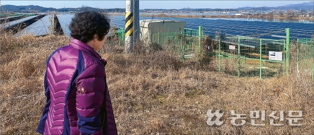 태양축산 이미지