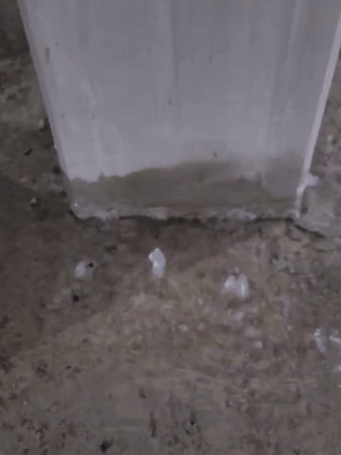 지난해 1월 경기 지역 한 신축 아파트 현장에서 지하 주차장 기둥 주변 바닥에 발생한 구멍 사이로 지하수가 솟구치고 있다. 이 구멍은 방수 작업이 제대로 이뤄지지 않아서 생겼다.